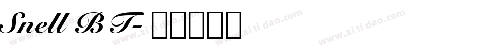 Snell BT字体转换